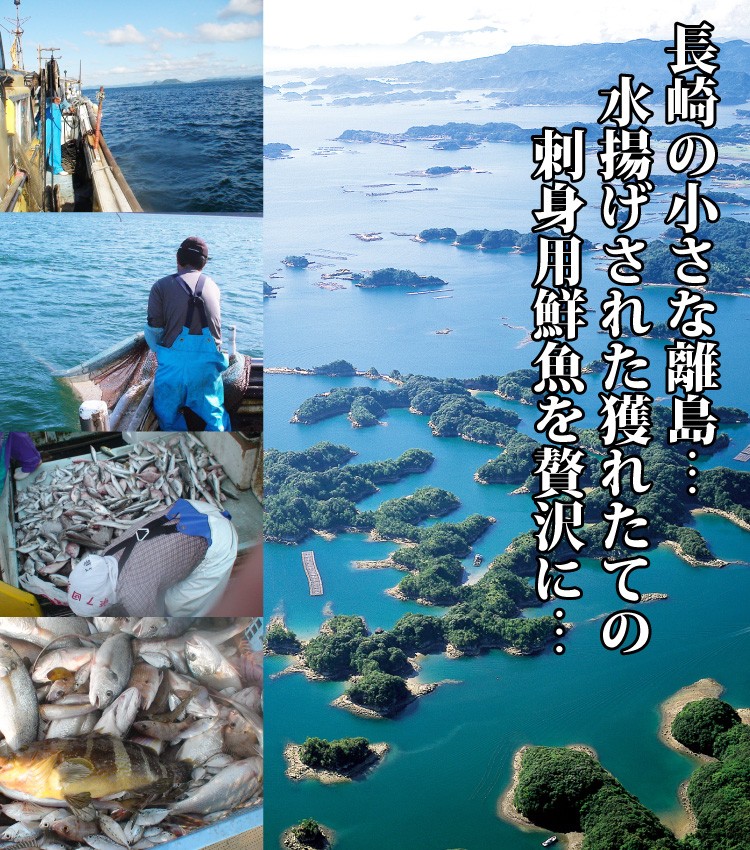 地魚大漁海鮮鍋