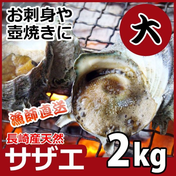 長崎産天然サザエ　大サイズ　2kg