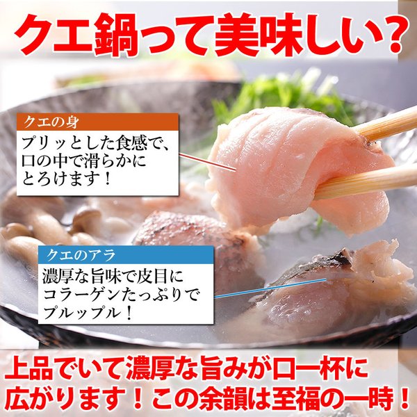 ぶにしても 新鮮なクエを産地直送でお届け 高級魚くえ料理セット２人前 クエ鍋 冷凍 大分県産 大分水産 おんせん県おおいた online shop -  通販 - PayPayモール として - shineray.com.br