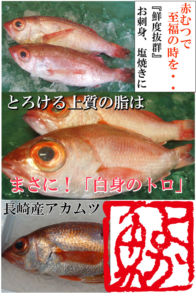 天然高級鮮魚 のどぐろ(アカムツ) 計1kg(300〜400g前後) 脂の滴る