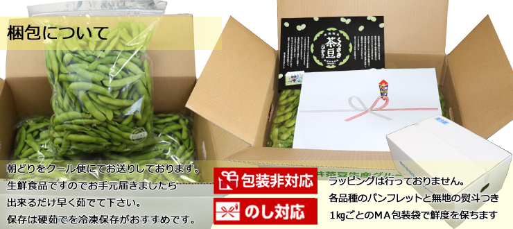包装非対応のし、パンフレットつき