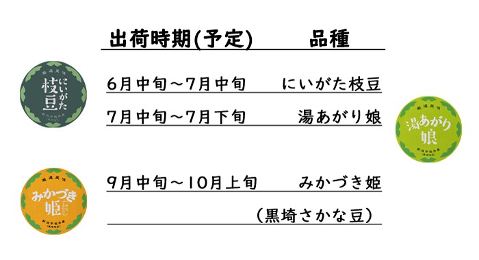 6月中旬から7月中旬にいがた枝豆7月中旬から7月下旬湯あがり娘7月下旬から8月中旬くろさき茶豆8月中旬から9月中旬くろさき茶豆（ぴかり）9月中旬から10月上旬みかづき姫（黒埼さかな豆）