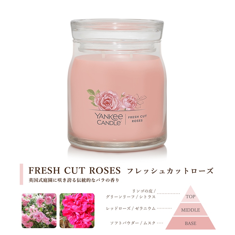 ヤンキーキャンドル YANKEE CANDLE アロマキャンドル シグネチャー ジャーM Mサイズ 全8種類 ギフト 燃焼時間は約35〜50時間 ギフト｜yokohama-toner｜09