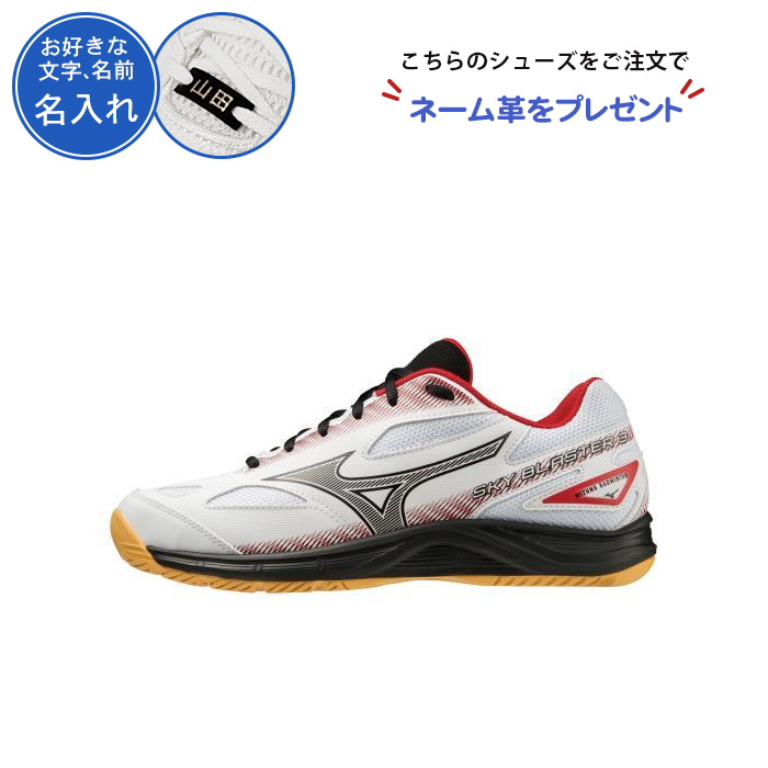 26cm レディース靴（MIZUNO／バドミントン用品）（サイズ（cm 