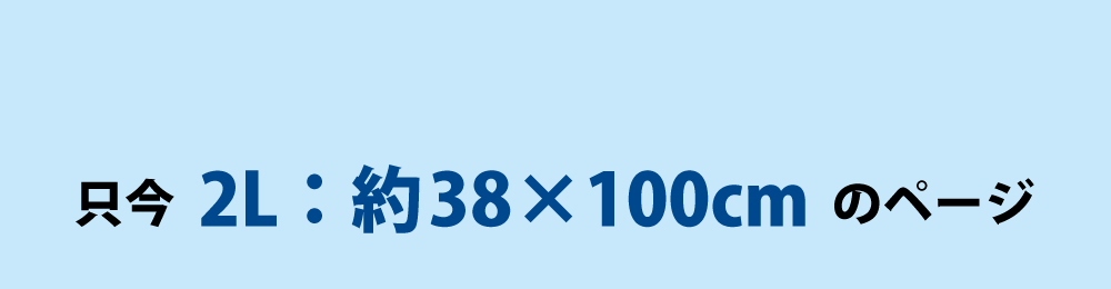 ひんやりタオルの2Lサイズ