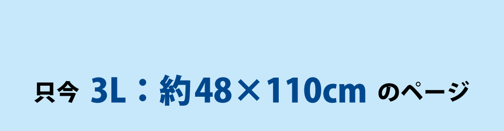 ひんやりタオルの3Lサイズ