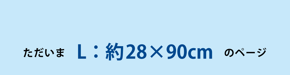 ひんやりタオルのLサイズ