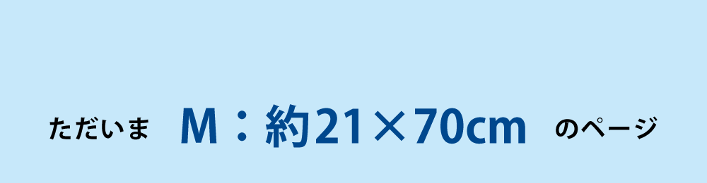 ひんやりタオルのMサイズ