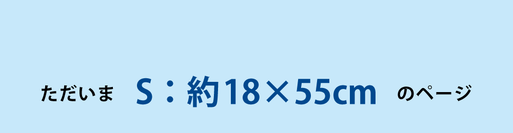 ひんやりタオルのSサイズ