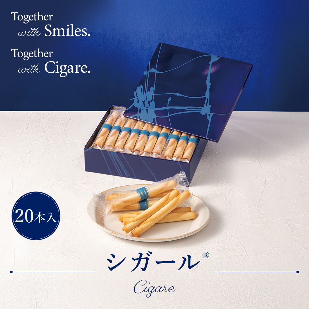 シガール20本入り