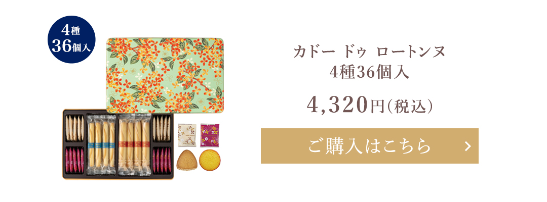 カドー ドゥ ロートンヌ4種36個入