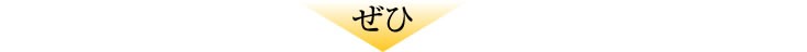 沖縄そばお試しセット