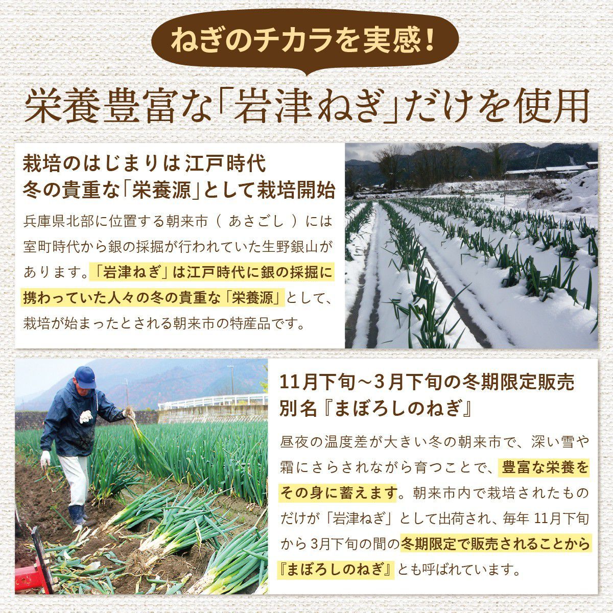 ねぎのチカラ 岩津ねぎ 顆粒だし 粉末 栄養機能食品 ビタミンｃ 食物繊維 ネギ 60包 １か月分 Negi0001 ヨネキチyahoo ショッピング店 通販 Yahoo ショッピング