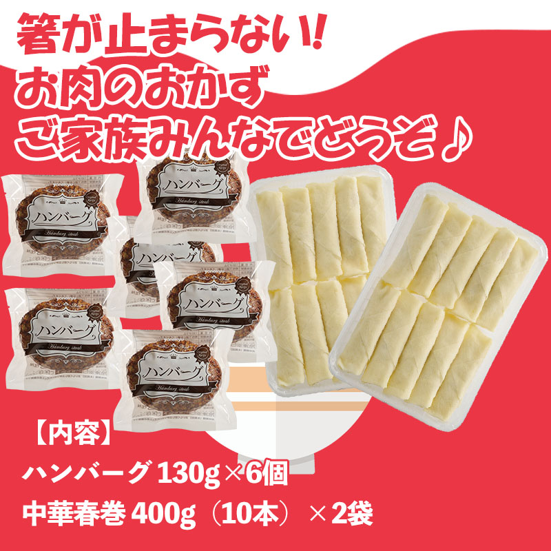 お取り寄せグルメ ハンバーグ ＆ 中華春巻き セット 福袋 温めるだけ お取り寄せ おとりよせ ご飯のお供 人気 2023 おかず 冷凍食品 中華 簡単調理  冷凍食品 :69414:感動を創る 米久 通販 