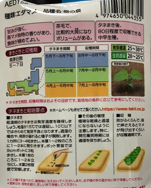 【エダマメ】うまい茶枝豆 福の泉【タキイ種苗】...の詳細画像1