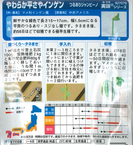 【やわらか平さやインゲン】つるありジャンビーノ...の詳細画像1