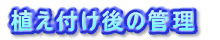 植え付け後の管理