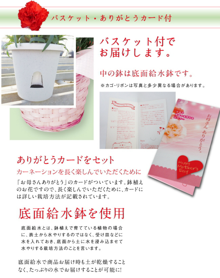 全国どこへでも送料無料◆米沢園芸の母の日ギフト