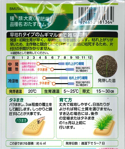 【緑肥用大麦】おたすけムギ(60ml)[春まき...の詳細画像1