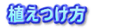 植えつけ方