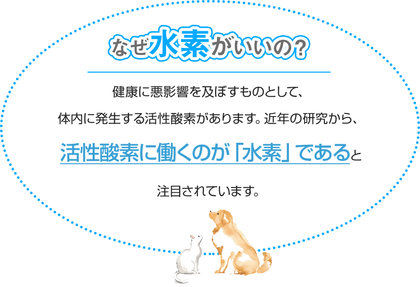 【新品未開封】レナトス腸水素力30粒 レナトスST 水素サプリメント 30粒 愛犬用 レナトスジャパン