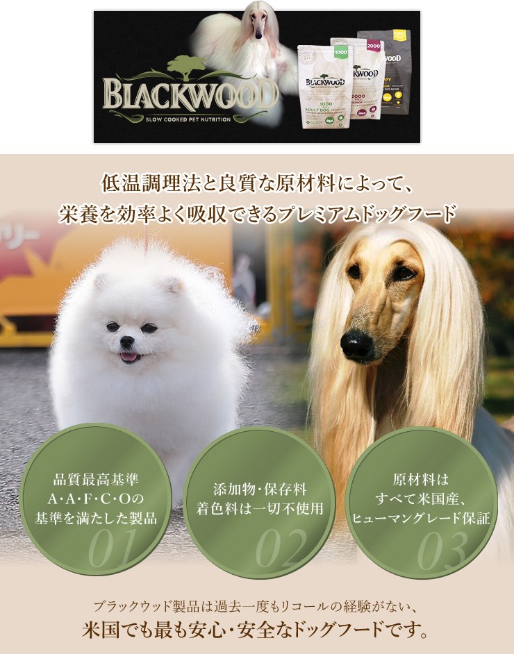 選べるプレゼント付き 【BLACKWOOD】ブラックウッド 1000