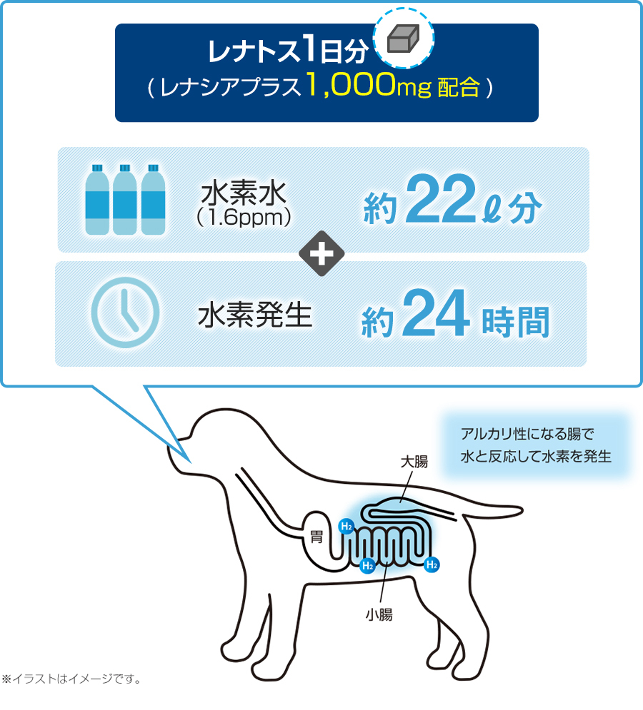 レナトス プロショップ 水素サプリメント 30粒 愛犬用 レナトス