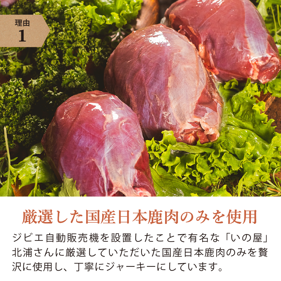 ギフトナー 国産 鹿肉ジャーキー 15g 犬 猫 おやつ GIFTNER 日本