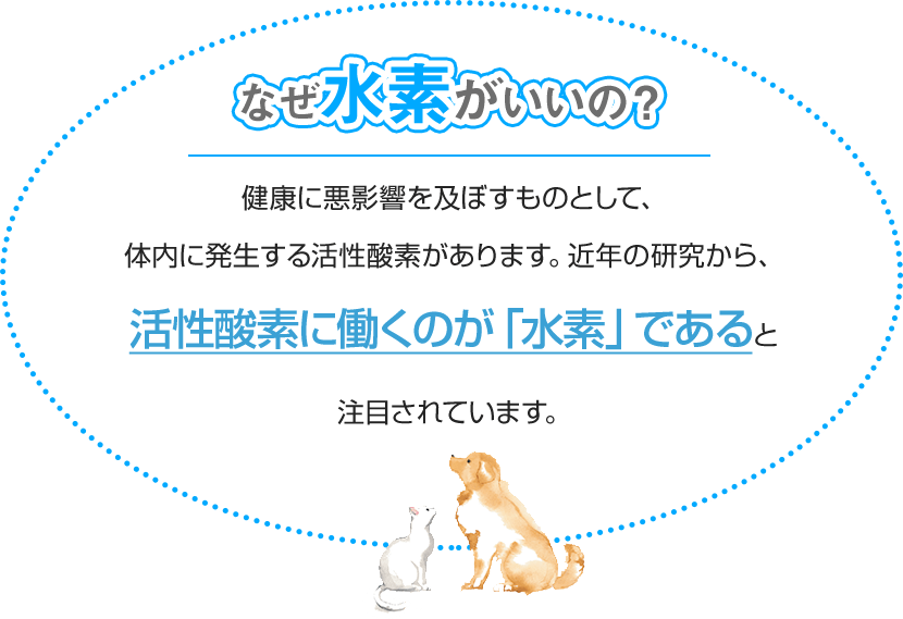 レナトスST 水素サプリメント 30粒 愛犬用 レナトスジャパン 国産