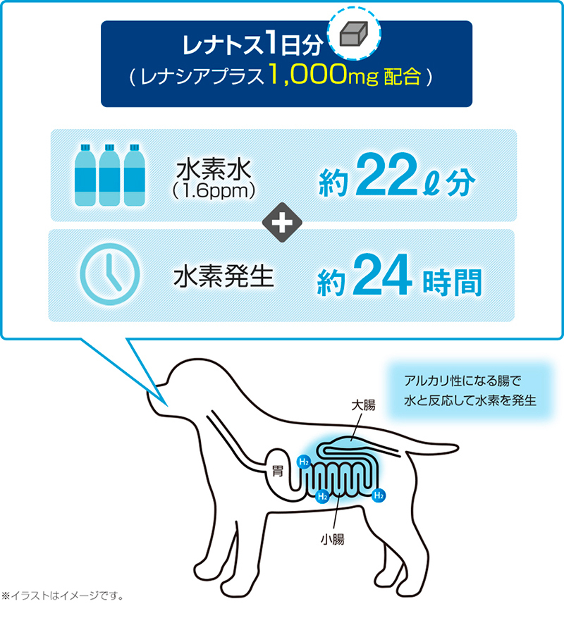 レナトス プロショップ 水素サプリメント 30粒 愛犬用 レナトスジャパン 国産 RENATUS 健康補助食品 1箱 PRO SHOP :  4582535530031 : ヨリアイDOGS グリーン - 通販 - Yahoo!ショッピング