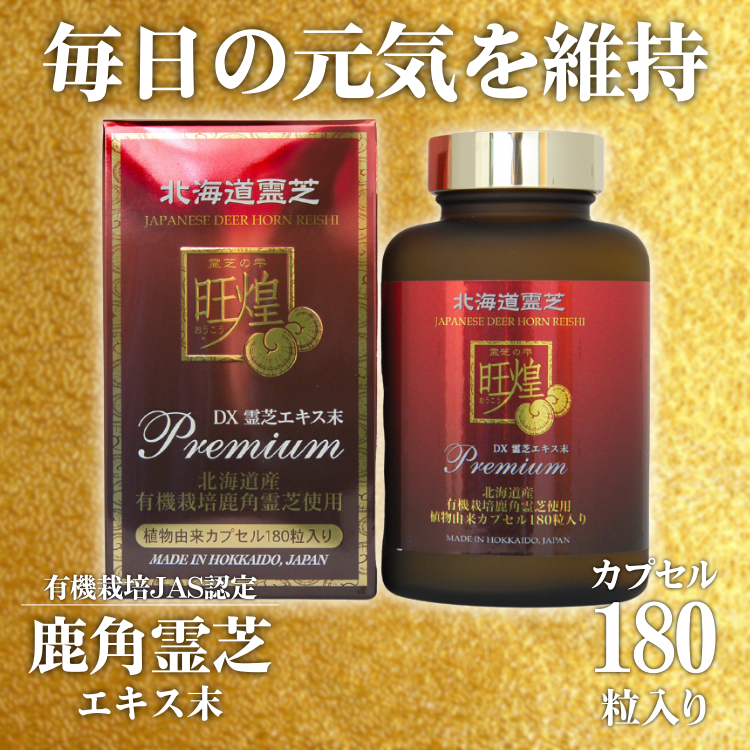 鹿角霊芝 reisipredx2.png