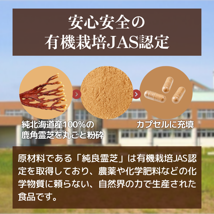 鹿角霊芝 鹿角霊芝純度100%パウダー【160g(40g×4個)】 | 健康・野草茶センター