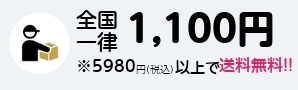 条件付き送料無料