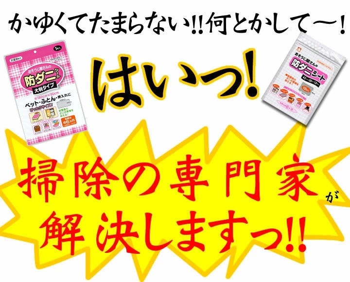 おそうじ屋さんの防ダニシート 12枚入り Ａ3サイズ |  | 02