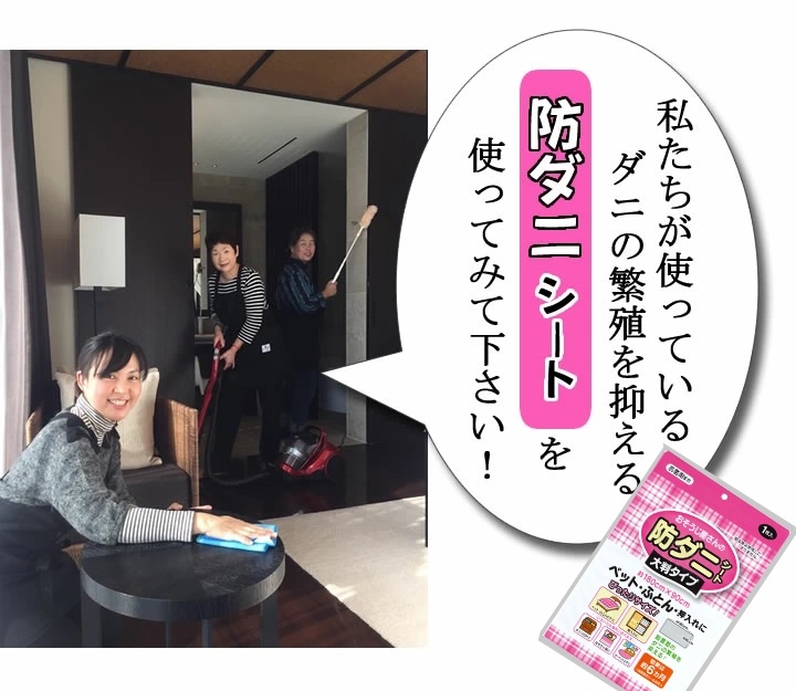 おそうじ屋さんの防ダニシート 12枚入り Ａ3サイズ |  | 05