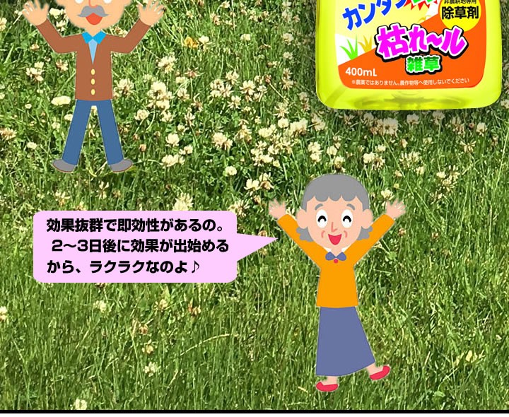 枯れる雑草 枯れ〜ル雑草 除草剤 除草液 農薬成分不使用 草取り