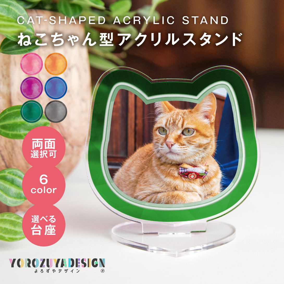 acst-cat-01-5.jpg?size=n