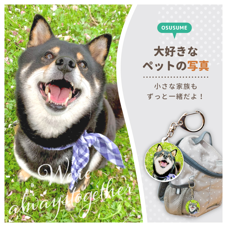 犬や猫などのペット 小さな家族たちもキーホルダーにすればずっと一緒に