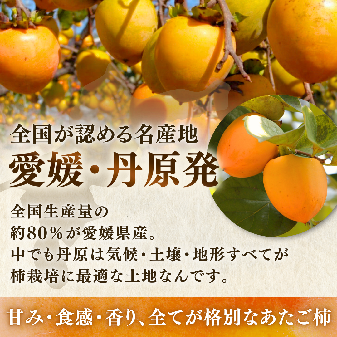 柿 あたご柿 干し柿渋柿 約 20kg 大玉限定(L〜3L混合) 《佐竹果樹園の