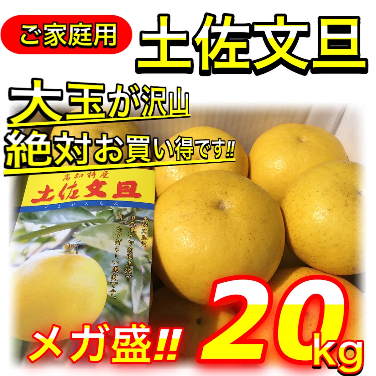 土佐文旦 メガ盛 20kg （10kg×２箱） 高知県産 文旦 大玉4L3L 混合 20キロ ぶんたん 訳あり  【メガ盛２０kg（４L〜３L混合）土佐文旦】2日〜3営業日で発送