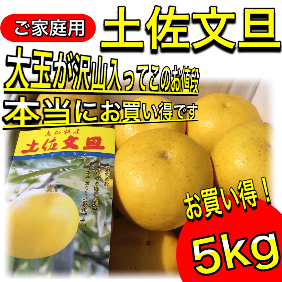 文旦 土佐文旦 5kg 大玉 4L 3L 混合 (約10玉前後）訳あり 家庭用 5キロ