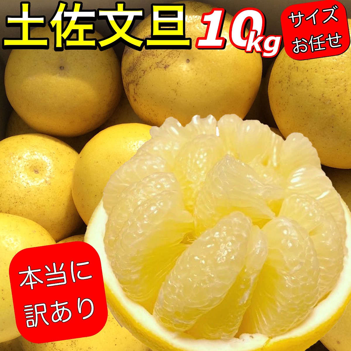 文旦 《本当に訳あり》 土佐文旦 10kg サイズお任せ (約20〜30玉）訳