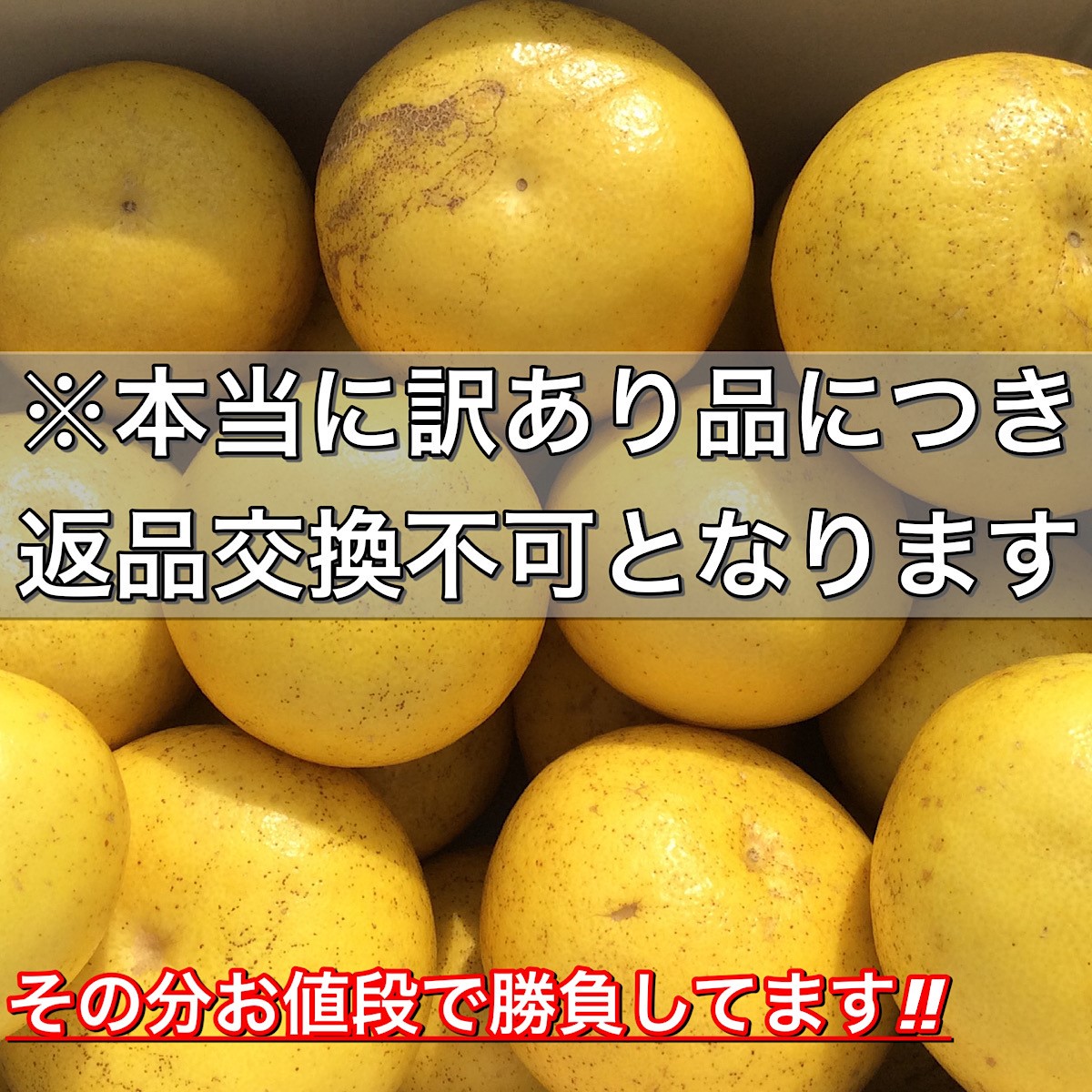 文旦 《本当に訳あり》 土佐文旦 10kg サイズお任せ (約20〜30玉