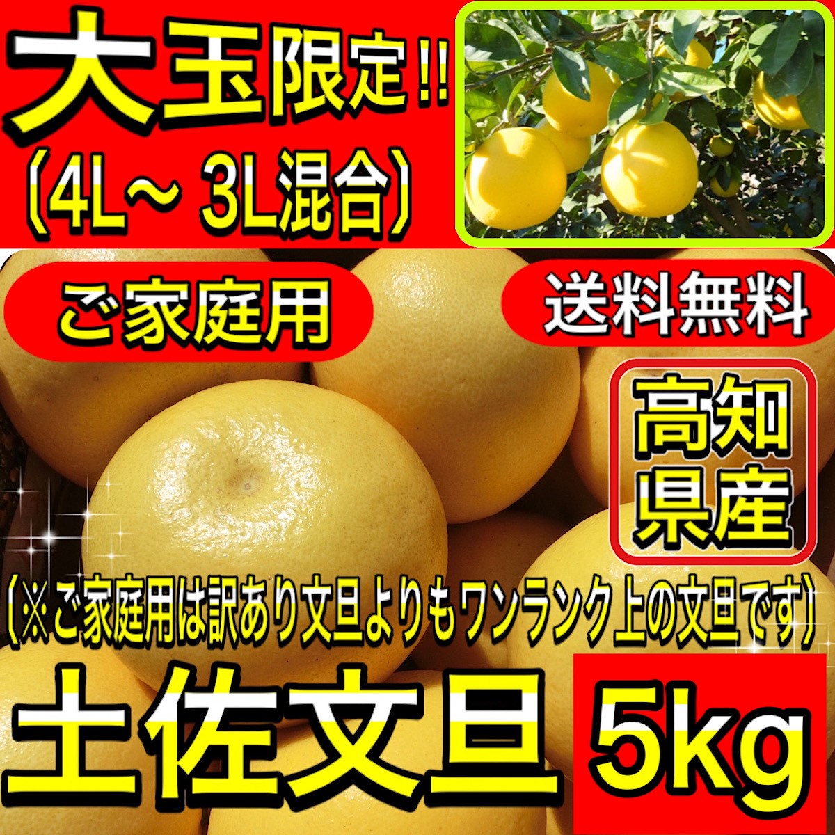 文旦 土佐文旦 5kg 大玉 4L 3L 混合 (約10玉前後）訳あり 家庭用 5キロ