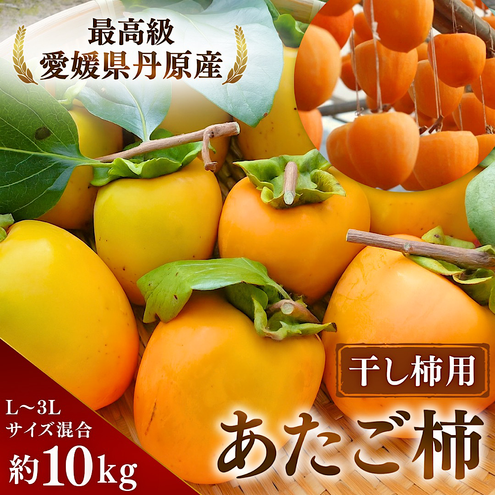 ‼️お買い得品‼️干し柿　干柿　箱込み10kg 柿 10kg 大和柿【干柿用渋柿】徳島産 ご家庭用 送料無料 食品