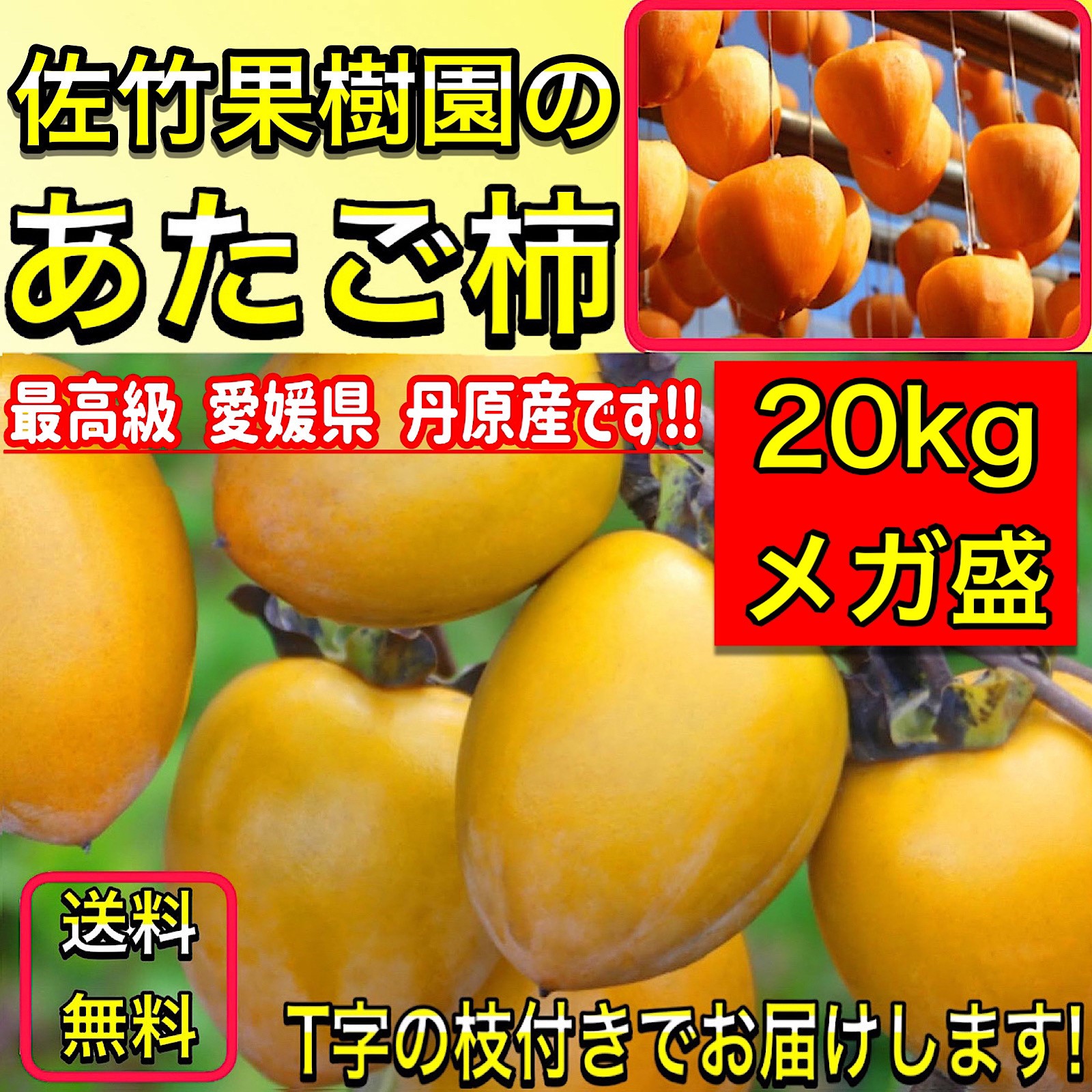 柿 あたご柿 干し柿渋柿 約 20kg 大玉限定(L〜３L混合) 《佐竹果樹園のあたご柿》 愛宕柿 かき 愛媛県 丹原産 【メガ盛り あたご柿  ２０キロ】3日以内発送 : kaki5 : 高知土佐文旦のお店よさ来い - 通販 - Yahoo!ショッピング