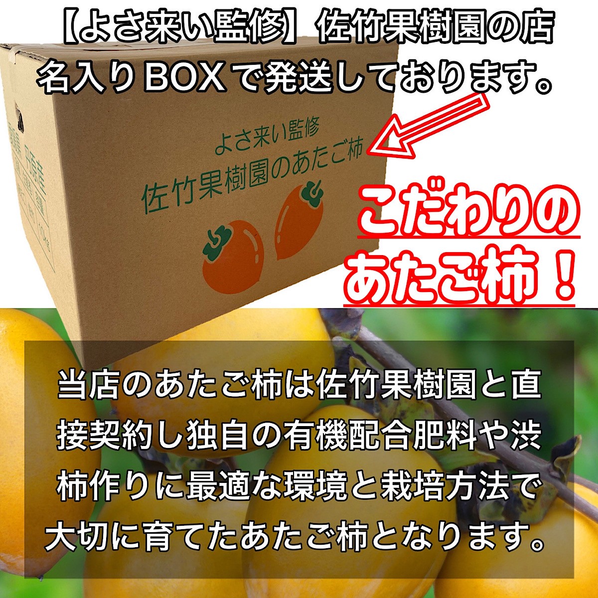 柿 あたご柿 干し柿渋柿 約 20kg 大玉限定(L〜３L混合) 《佐竹果樹園のあたご柿》 愛宕柿 かき 愛媛県 丹原産 枝付【メガ盛り あたご柿  ２０キロ】 : kaki5 : 高知土佐文旦のお店よさ来い - 通販 - Yahoo!ショッピング