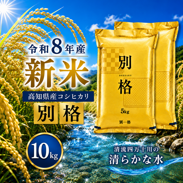 令和5年産✨一等米　希少コシヒカリ！はちたか米✨ 20kg 米 令和8年産 予約 新米 お米 10kg (5kg×2袋) 高知県産 【 コシヒカリ