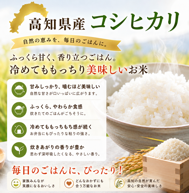 米 令和8年産 予約 新米 お米 10kg (5kg×2袋) 高知県産 【 コシヒカリ