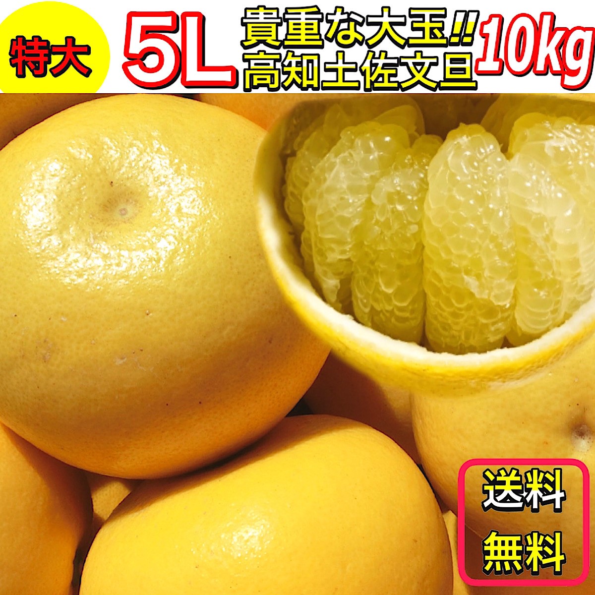 文旦 土佐文旦 高知県産 特大 ５L サイズ 10kg ご家庭用 ぶんたん 露地